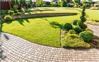  South Wales Tree & Landscapes Ltd